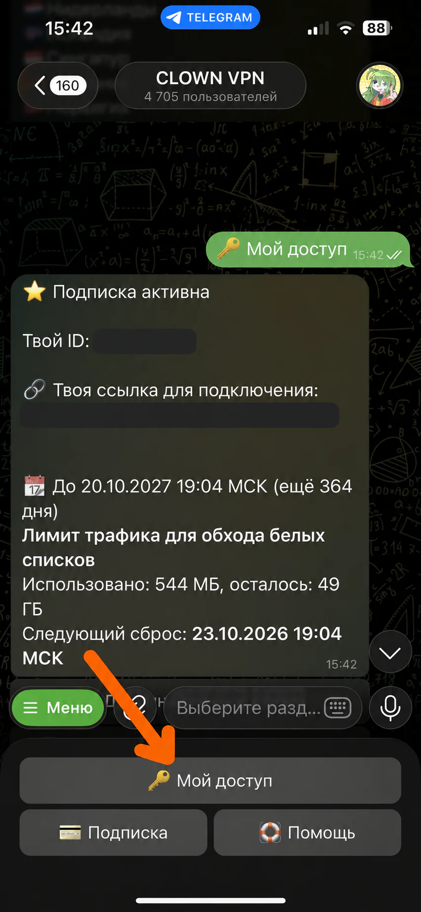 «🔑 Мой доступ» (My access) section in the Telegram bot on iPhone — step 2 for INCY